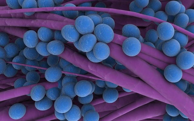 why microbes hold the key to astrobiology