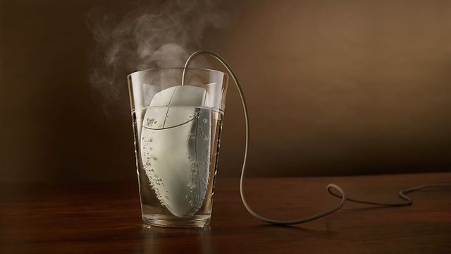 learning your abc's and int/void mains?