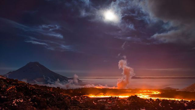 charles darwin and otto hahn's alien fossils