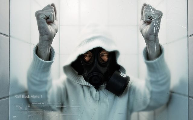 why this year became the year of the protest