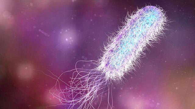 yeah, about those arsenic-absorbing microbes…