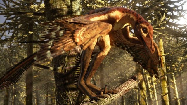 predatory dinosaurs, now with venom?