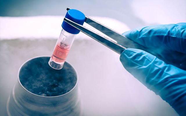 why you may want to hold off on stem cell therapy for now…