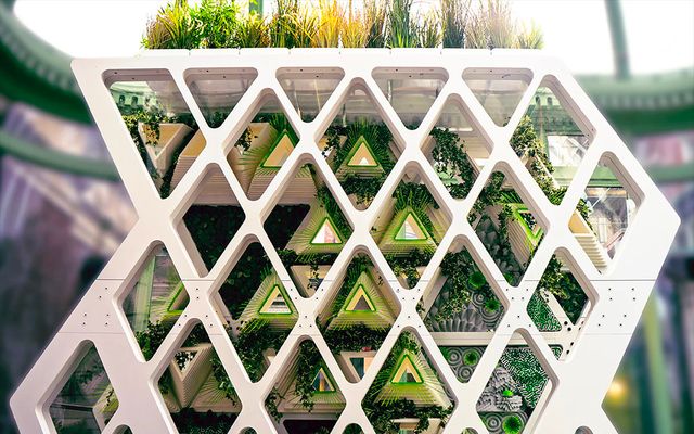 will urban farming save the future or make modern politics worse?