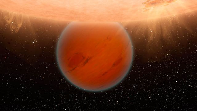 meet the backwards planet