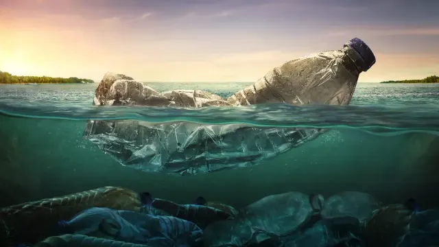 the new fantastic, biodegradable plastic