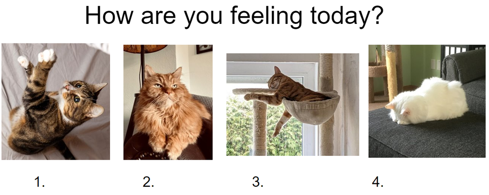 Mental health of early career researchers: COVID-19 brings the community together (virtually)