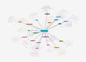 How Science Learns from Itself: Leveraging an Interdisciplinary Background for Meta-Science