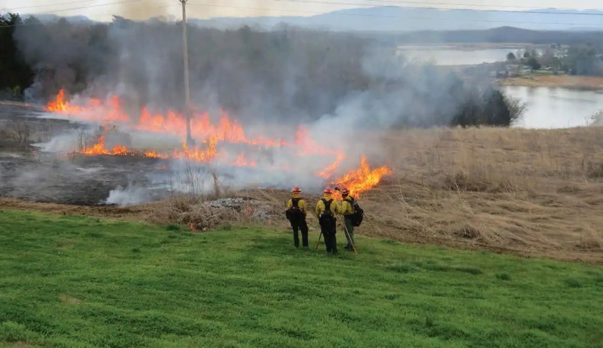This high school teacher's training wildfire fighters. There's nothing else like his class in America.