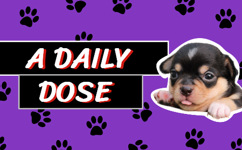 A Daily Dose
