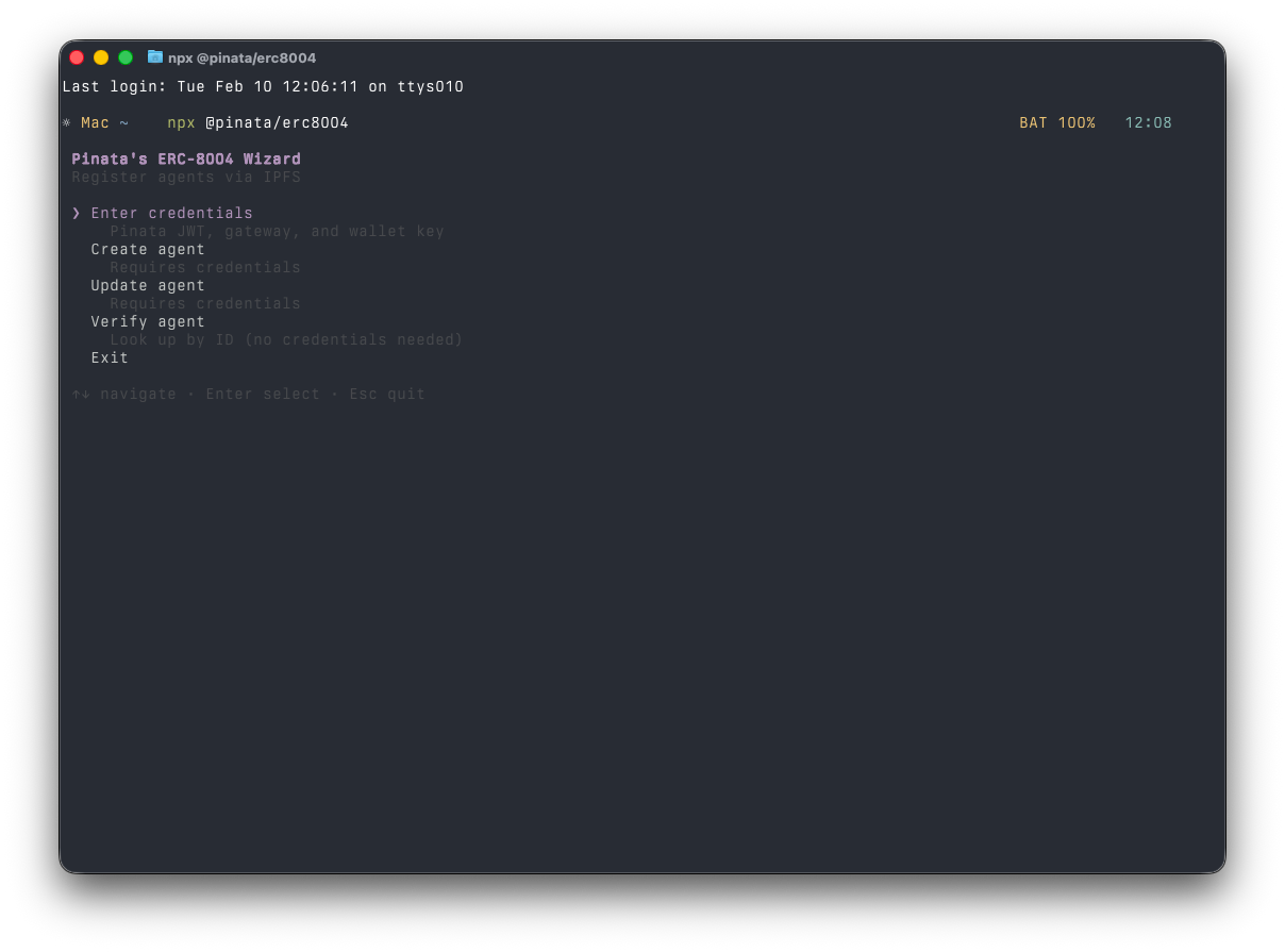Screenshot — wizard launch screen after running npx @pinata/erc8004, showing the initial prompts