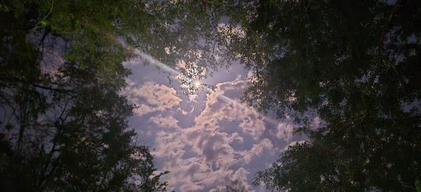 Feb. 6th - Update 200+ Miles Down