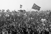 Top Stories of Resistance Shared in 2025 | Activist History