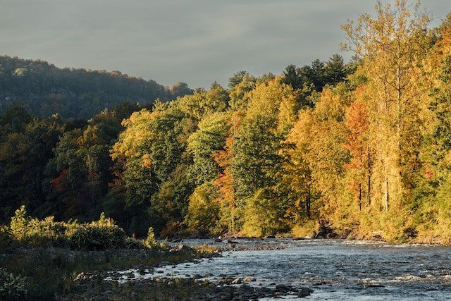 The Rivers of the Charmed Circle