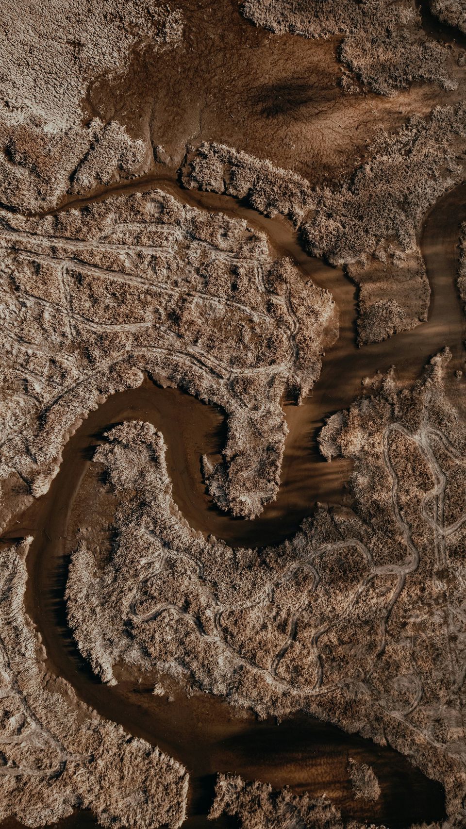 Schoharie Creek: Nature’s Untamed Playground