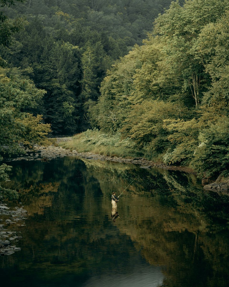 Esopus Creek: Where Majestic Waters Beckon