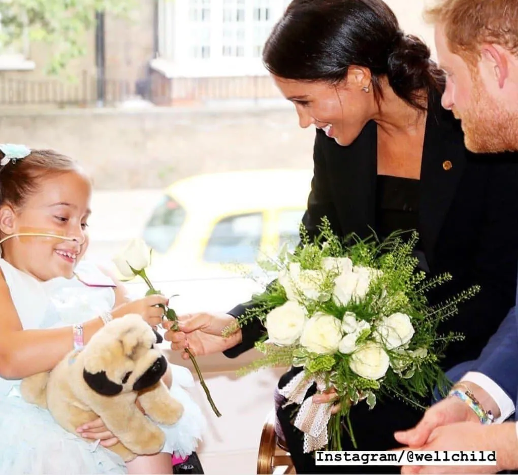 The Duke and Duchess of Sussex meeting a young girl through Well Child Photo: Instagram/@wellchild)