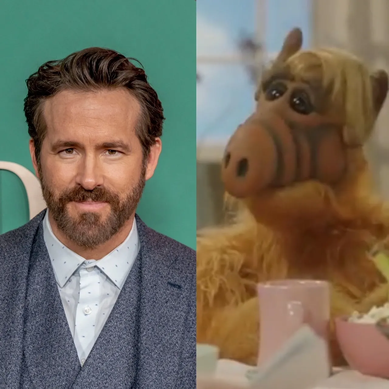 a photo of Ryan Reynolds smiling at a press event beside a photo of 80s sitcom character Alf, a furry alien.