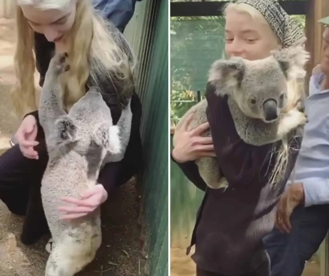 Anya Taylor-Joy Cuddled by Koala During Visit to Conservation Centre