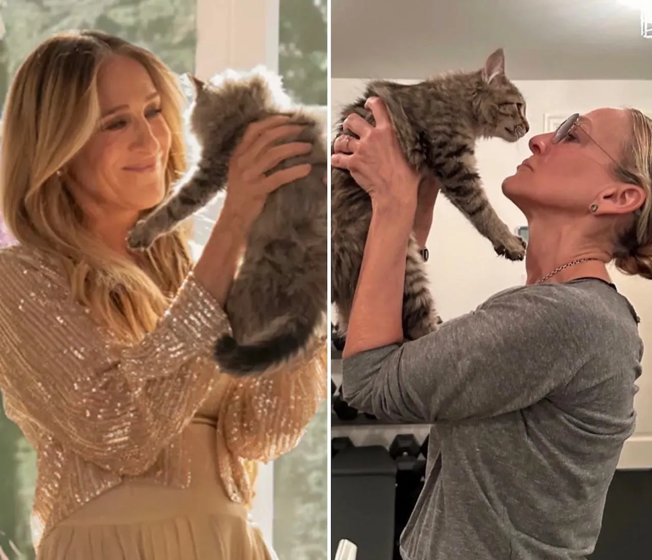 Sarah Jessica Parker holding Shoe Bradshaw, a kitten on the set of 'And Just Like That' and now adopted by her at home.