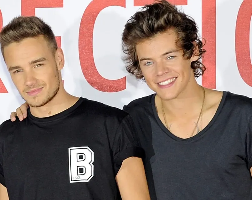 Harry Styles Expresses His Love for "Lovely Friend" Liam Payne