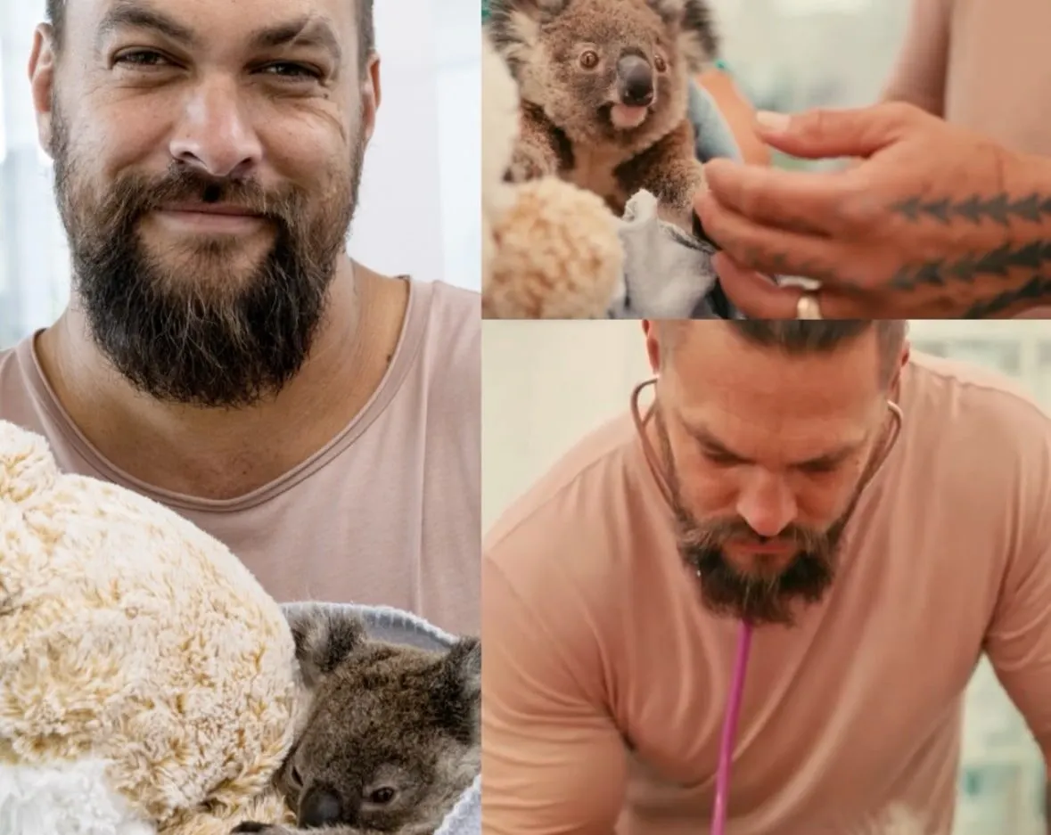 Jason Momoa visitng Currumbin Wildlife Hospital, holding koalas