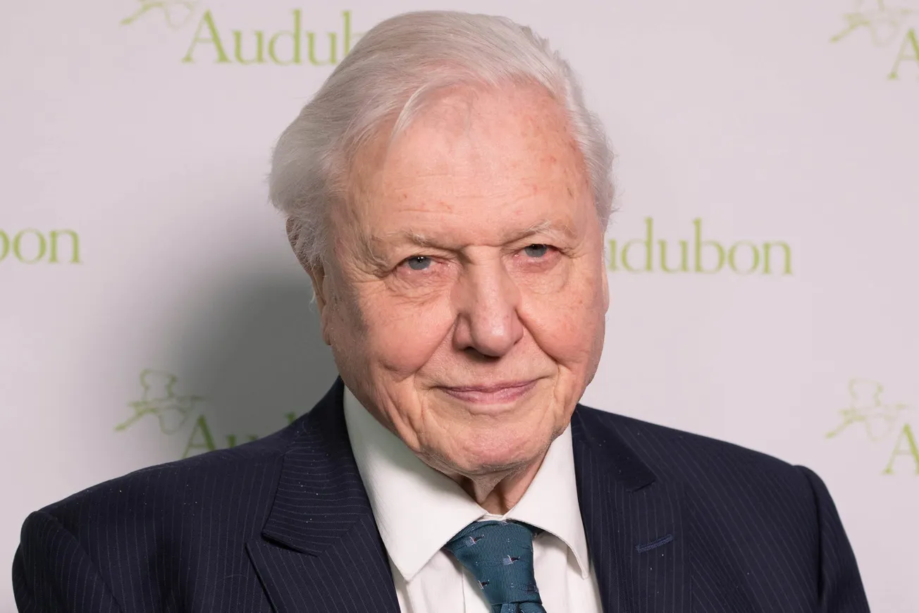 Sir David Attenborough smiles at a press event. It's been announced he'll be presenting Planet Earth III