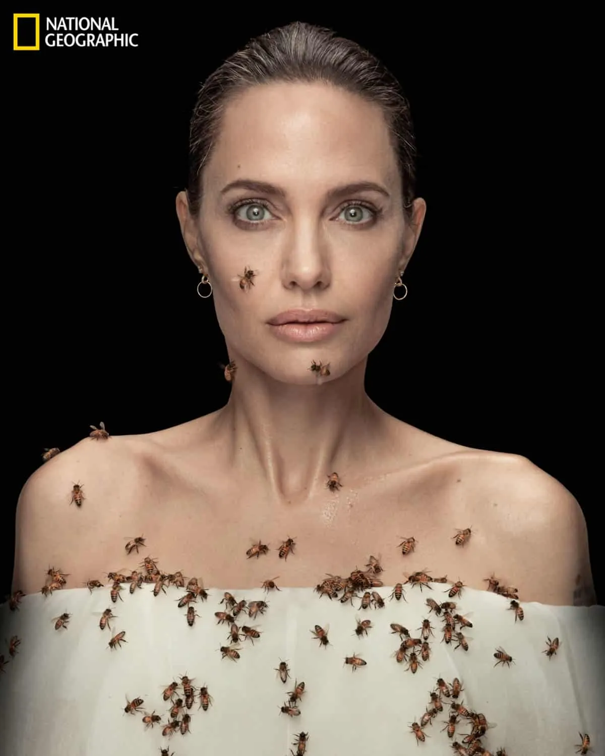 Angelina Jolie Highlights Urgent Need to Protect Bees On World Bee Day