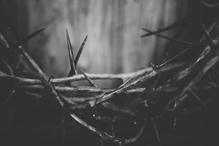 I Wanted the Story to Leave Me Alone