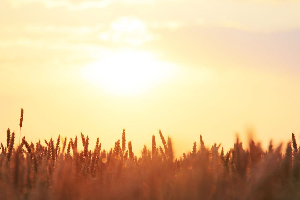The Importance of Ordinary Days