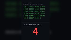 An Indian CA's Private Key Was Just the Number 4