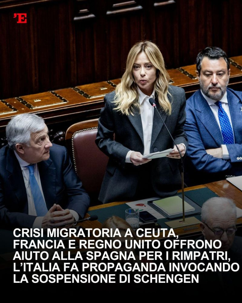 IGNORANTI, STUPIDI & BUFFONI