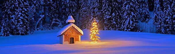 In snowy regions, such as the Bavarian Alps in Germany, a frost-covered landscape like the one shown in today's image, festive lights shine against the winter chill.