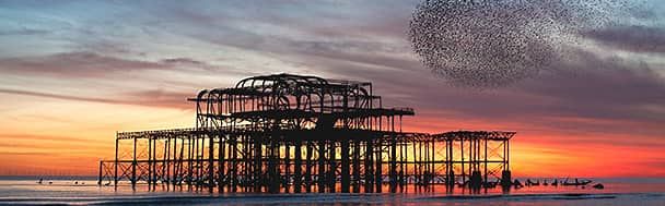 Starlings on the ruins of the West Pier in Brighton, England