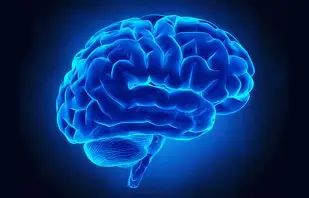 an examination of our intellectual and analytical skills