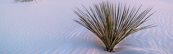 This place was declared a national monument in 1933 to protect its exceptionality