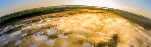 Alam-Pedja nature reserve in Tartu County, Estonia,