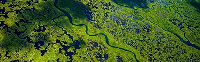 Everglades National Park, Florida, USA