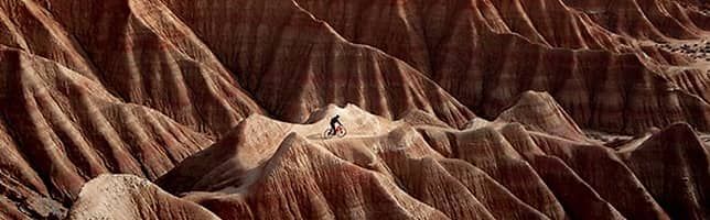 World Bicycle Day