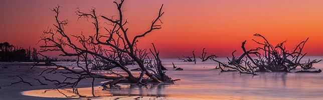 Boneyard Beach, Hunting Island, South Carolina, USA
