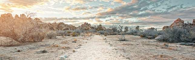 Joshua Tree National Park, California, USA