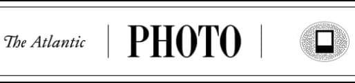 Selections From the 2026 Audubon Photography Awards Top 100