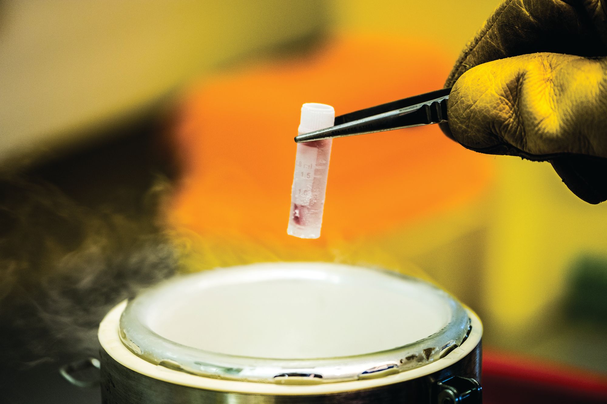 Eisai experiment