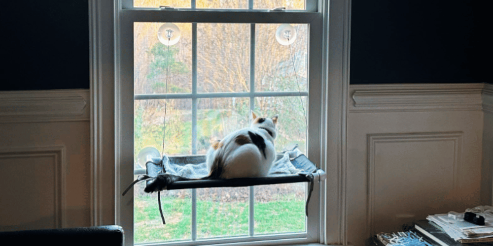 how-to-make-a-perch-for-a-cat-window