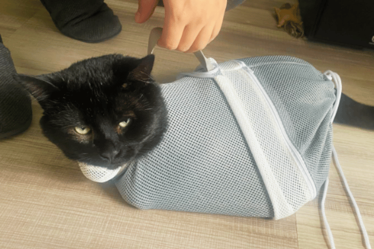what-is-a-cat-bath-bag
