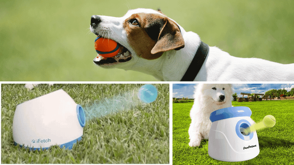 The Best 5 Automatic Dog Ball Launchers for Maximum Fetch Fun!