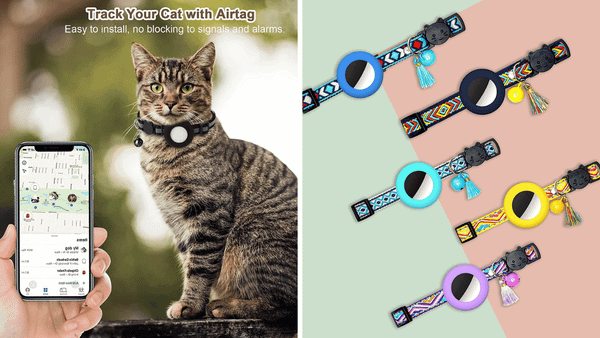 Track Your Cat's Adventures with the Top 5 Airtag for Cats