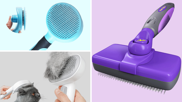 Slick Move: 6 Cat Slicker Brushes For a Fur-free Home!