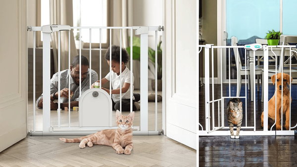 5 Dog Gates With Cat Doors—Purrfect Solutions For Pet Parents