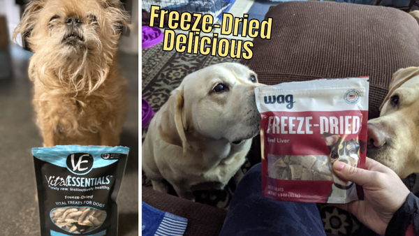 The Pup's Pick: 10 Freeze Dried Dog Treats Put To The Taste Test!